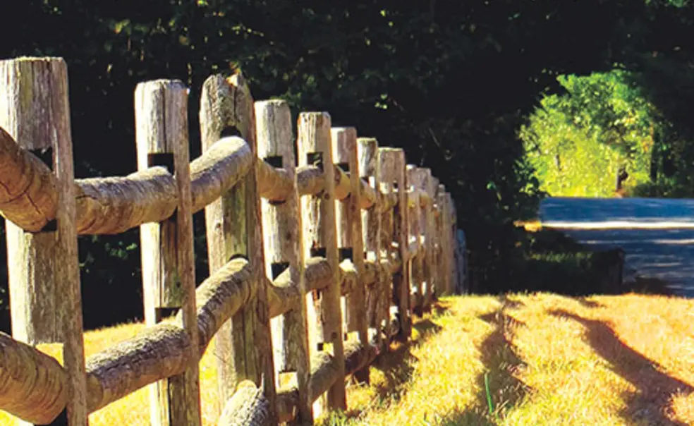 Reading Room: Jessica Lander ’10