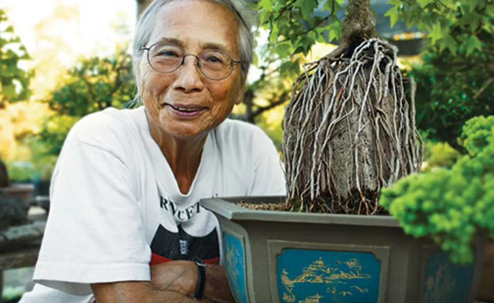 Profile: T’Sai-Ying Cheng *63 *64 Profile: T’Sai-Ying Cheng *63 *64