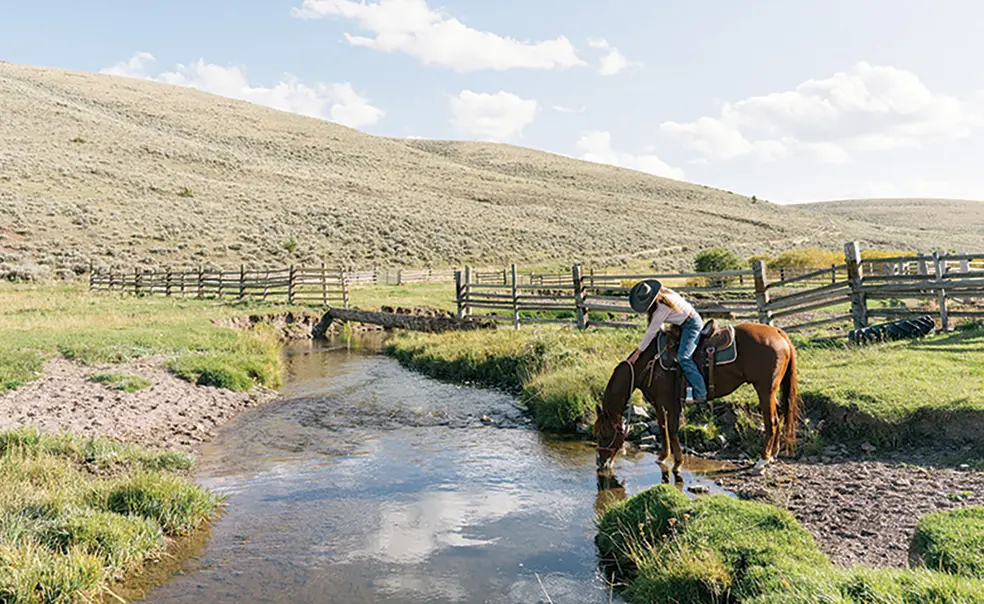 Caroline Nelson ’14 Is a Rancher With an Unconventional Model