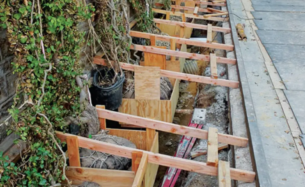 Tending to the Campus