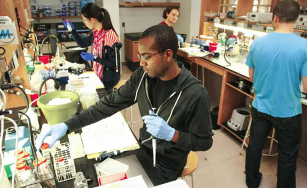 A Renewed Commitment to Diversity A Renewed Commitment to Diversity