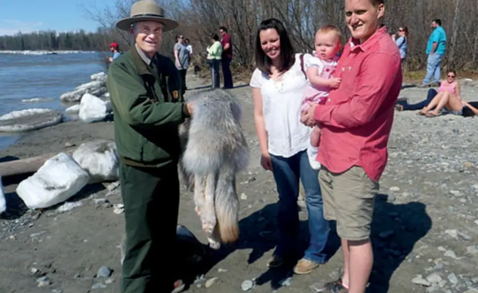 Prince-ProfileKatzenRB.jpg Jay Katzen ’58 shows a wolf pelt to visitors on a nature walk in Alaska’s Denali National Park.