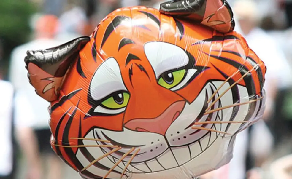 Suit Up in Orange and Black Suit Up in Orange and Black