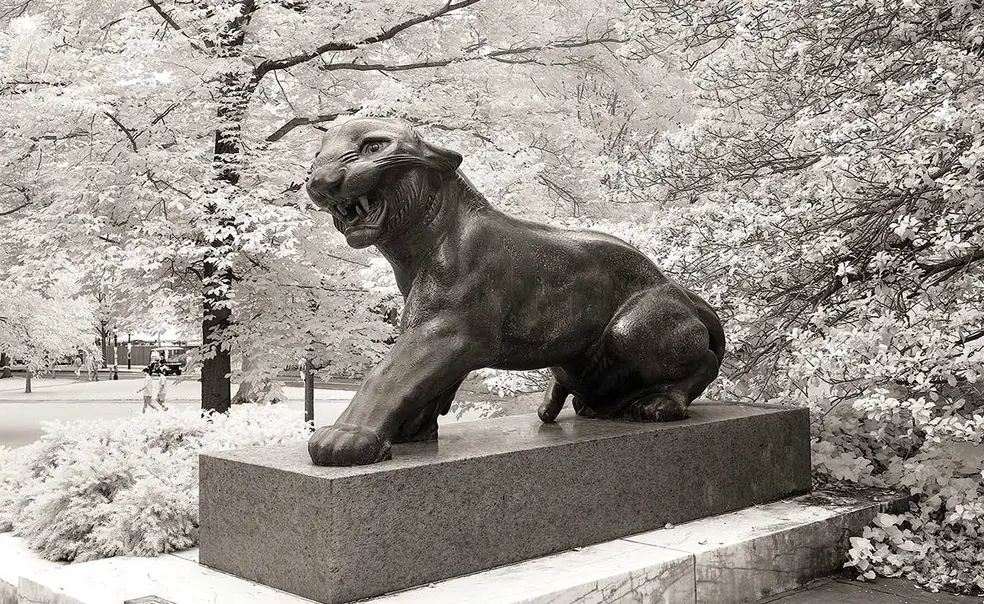 Gallery: Photographer Marc Safran ’80 Has an Ophthalmologist’s Eye Gallery: Photographer Marc Safran ’80 Has an Ophthalmologist’s Eye