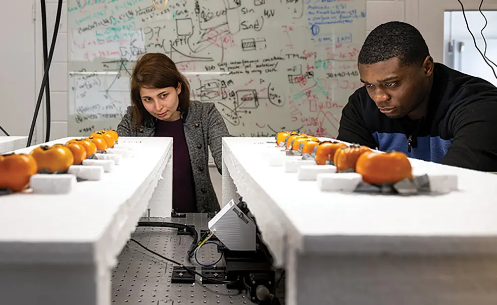 Princeton Engineers Use Wireless Signals to Pinpoint Fruit Ripening Princeton Engineers Use Wireless Signals to Pinpoint Fruit Ripening
