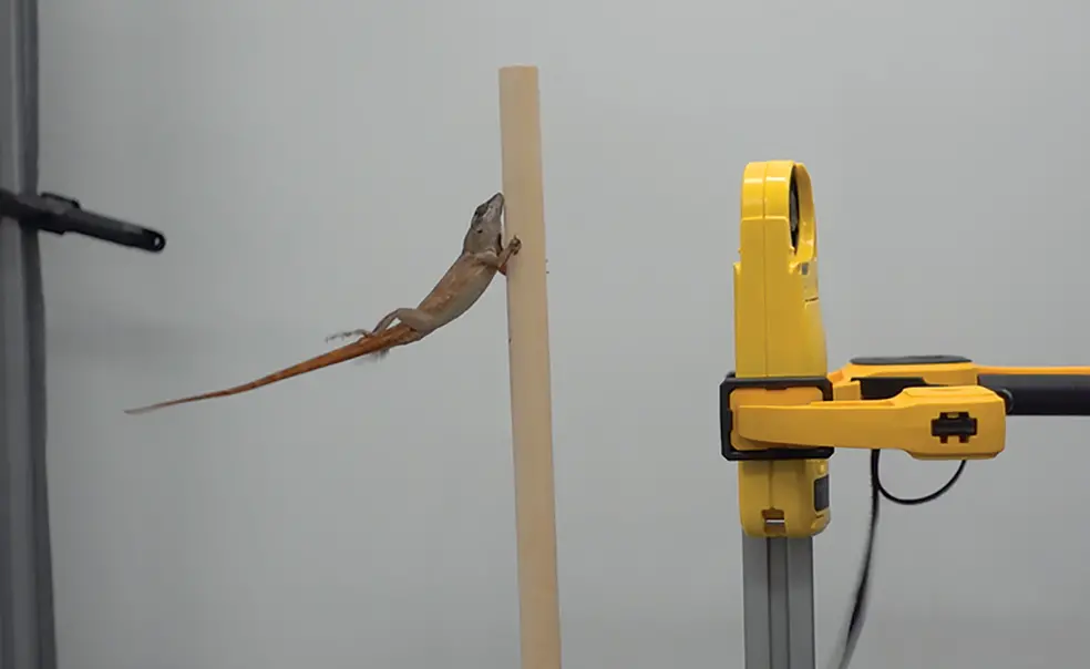 Research Photo: Rock You Like a Hurricane