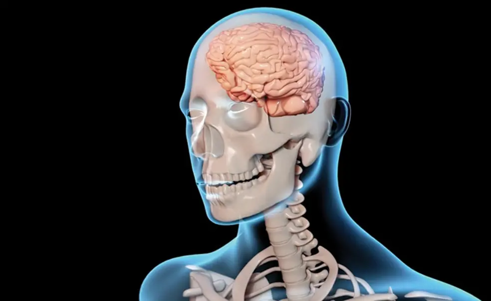 Brain Injury Project Among 19 Winners at Princeton Research Day Brain Injury Project Among 19 Winners at Princeton Research Day