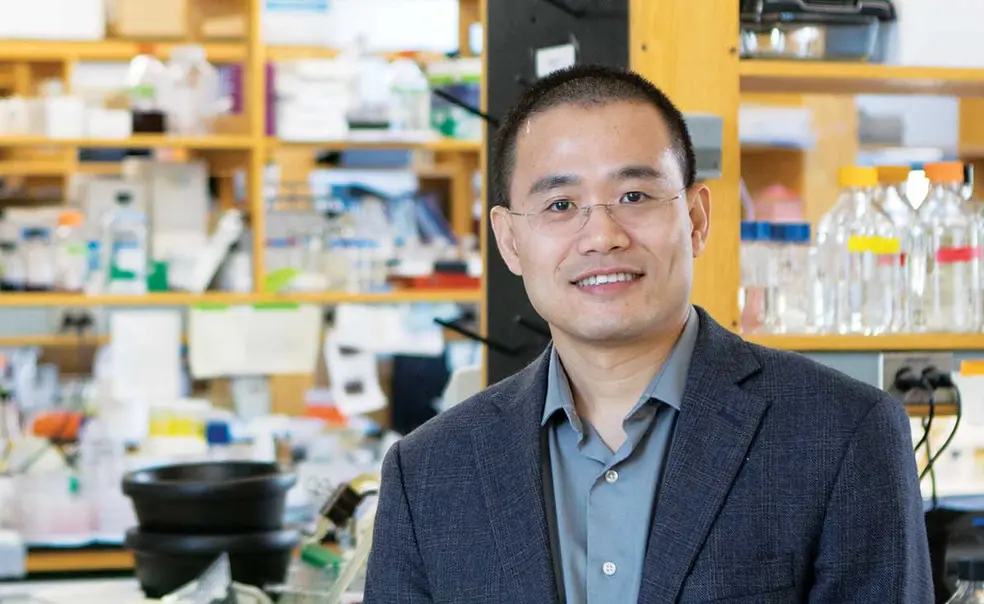 Professor Yibin Kang’s Research Seeks to Disrupt Cancer Metastasis Professor Yibin Kang’s Research Seeks to Disrupt Cancer Metastasis