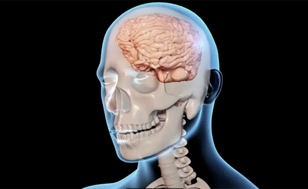 Research on Brain Injuries, Carbon Capture Among 2023 Award Winners Research on Brain Injuries, Carbon Capture Among 2023 Award Winners