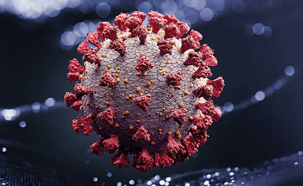 Research Snapshot: Three COVID-19 Studies by Princeton Researchers Research Snapshot: Three COVID-19 Studies by Princeton Researchers