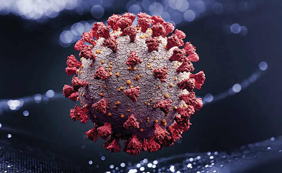 COVID-19: Research Snapshots