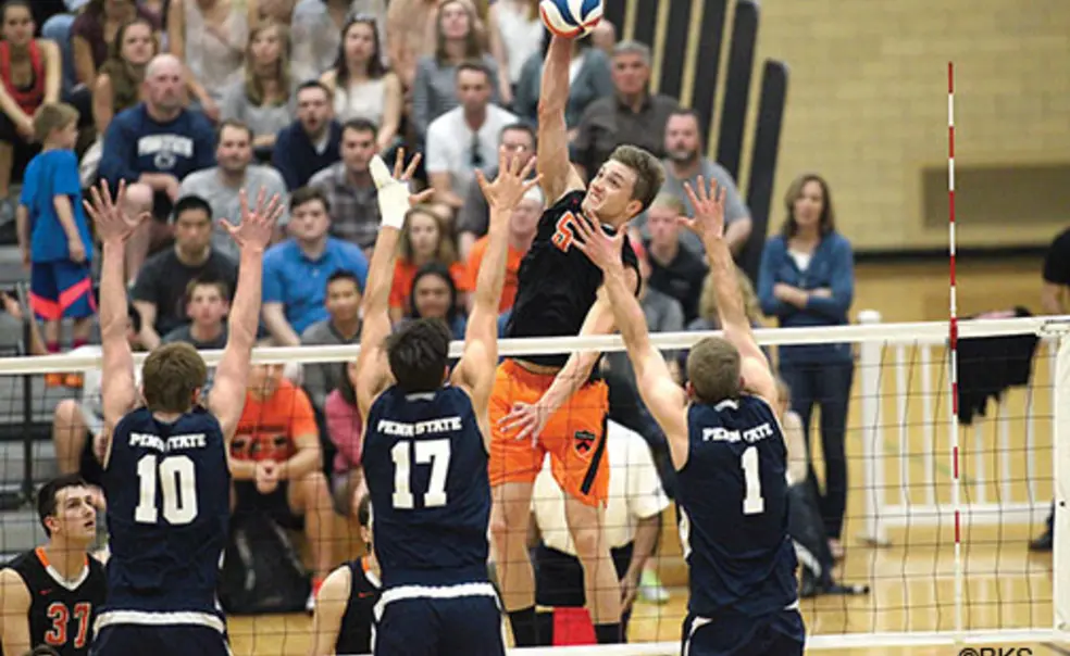 Sports Shorts Sports Shorts