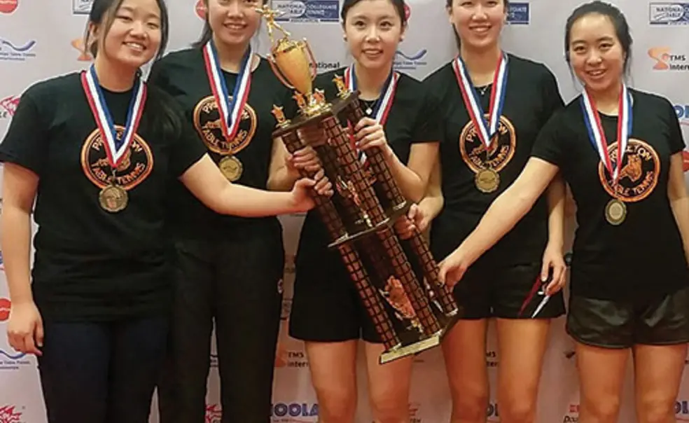 Sports Shorts Sports Shorts