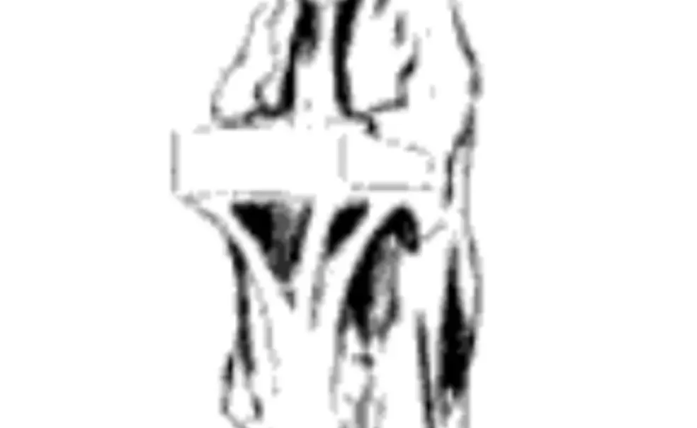 Princetoniana: Woodrow Wilson ’79 Princetoniana: Woodrow Wilson ’79