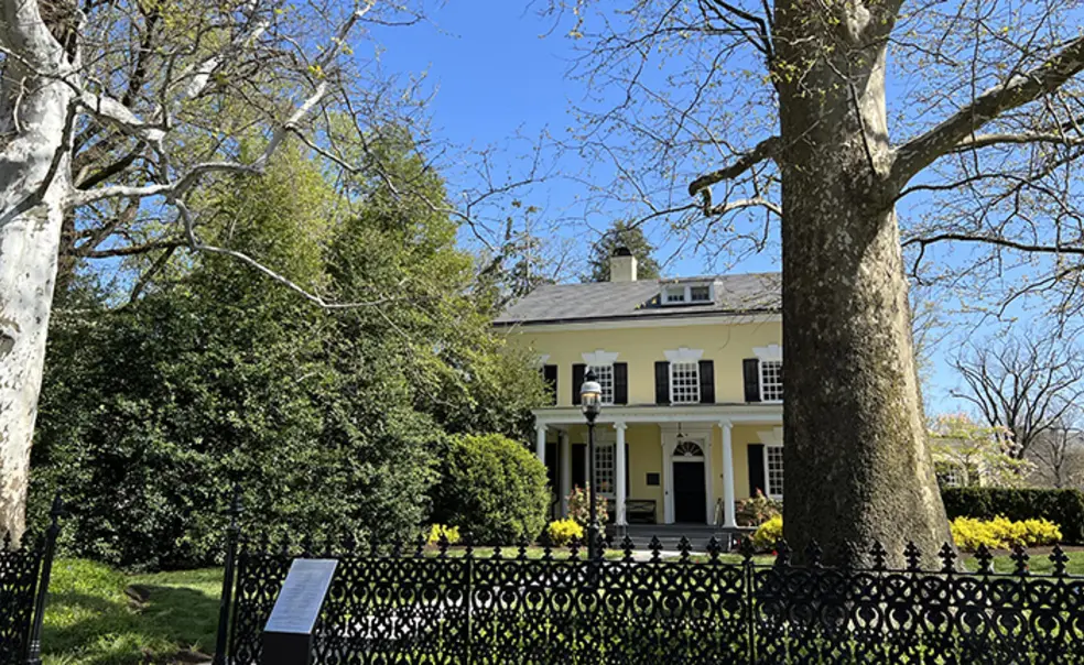 Sycamores.jpg This is a photo of the yellow Maclean house on Princeton's campus, with two large sycamore trees and a wrought iron fence in front.