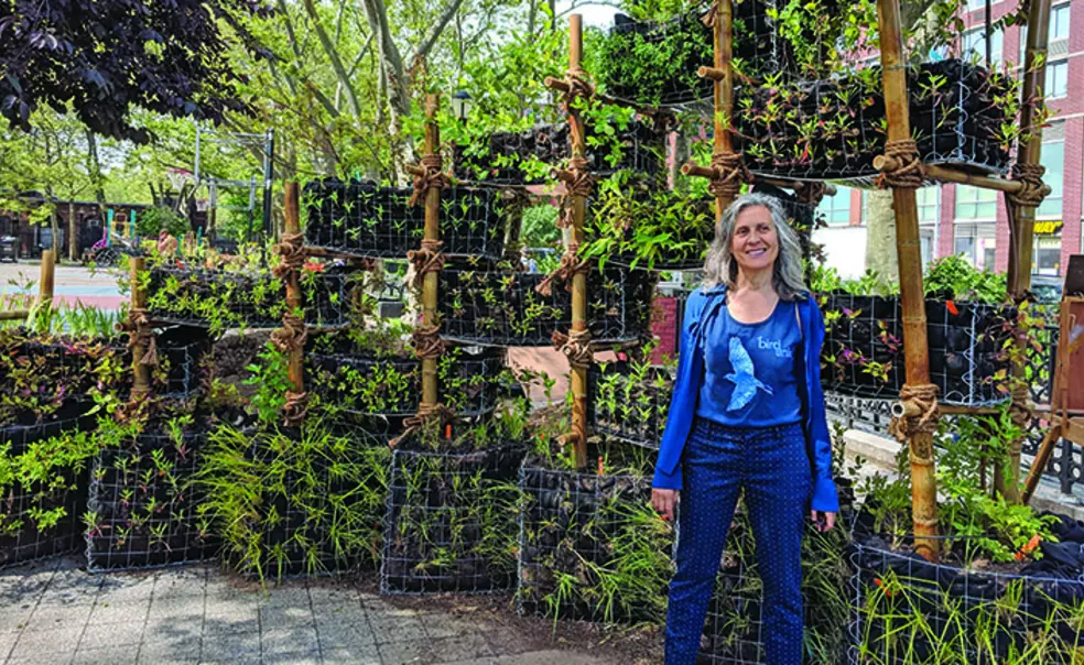 Migratory Birds Flock to Anina Gerchick ’76’s Ecological Art Migratory Birds Flock to Anina Gerchick ’76’s Ecological Art