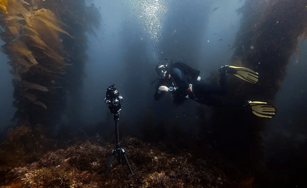 Inside a Dome, Mark Davidson *08’s Film Immerses Viewers in the Ocean Inside a Dome, Mark Davidson *08’s Film Immerses Viewers in the Ocean