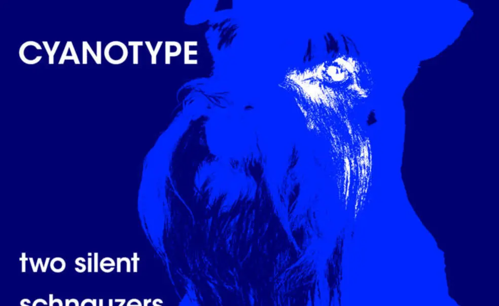 Two Silent Schnauzers  Two Silent Schnauzers