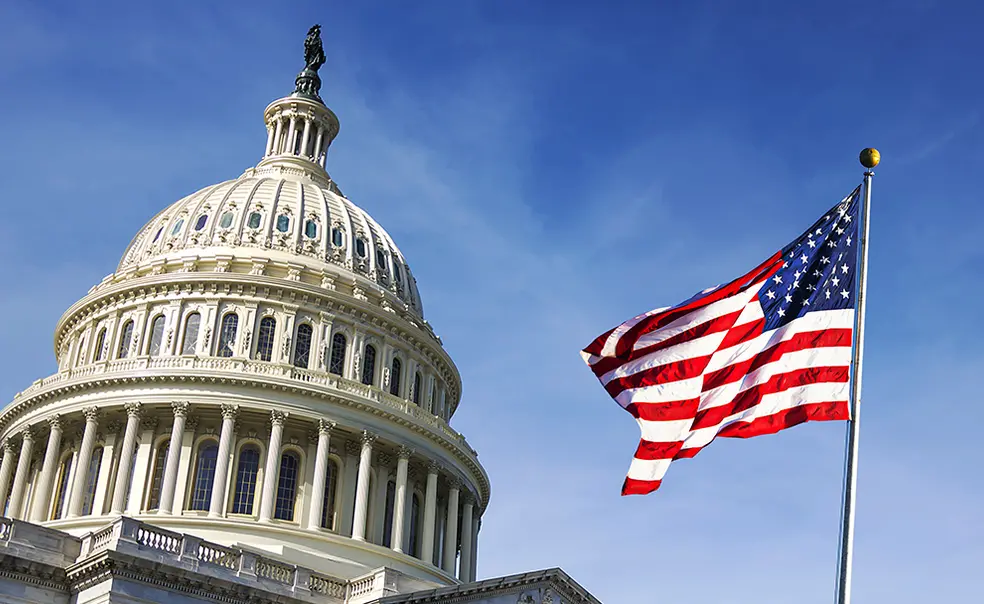 democacy iStock-1154438278.jpg