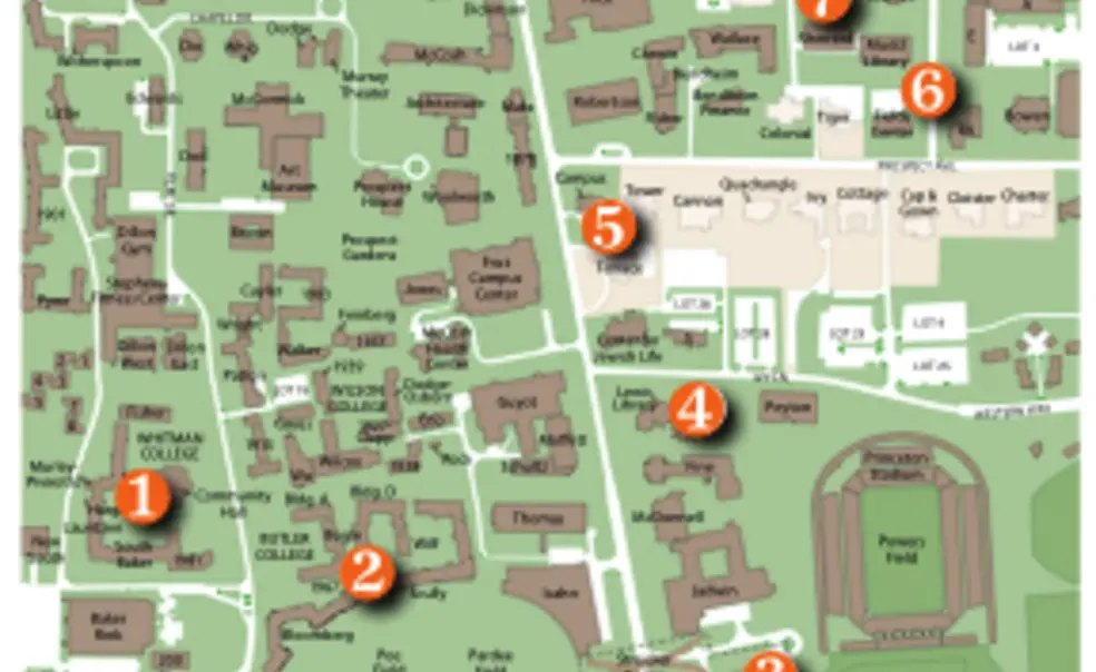 Reunions 2010: New in the neighborhood