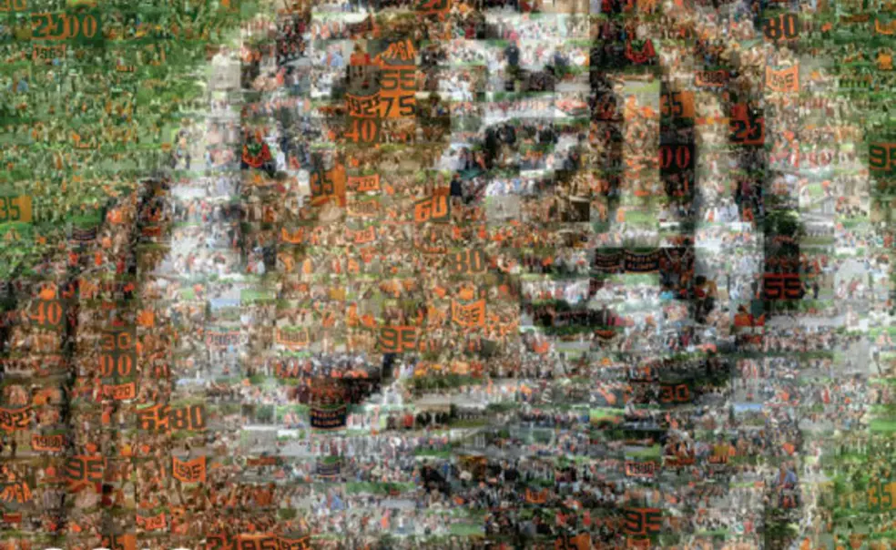 Reunions 2010: Complete guide available