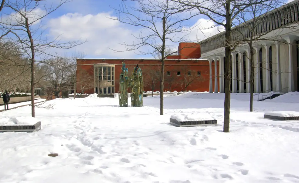 Winter Wilson School