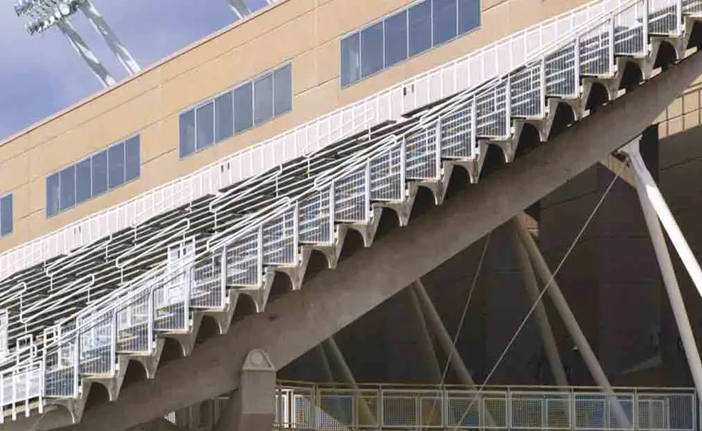 A king on campus A king on campus