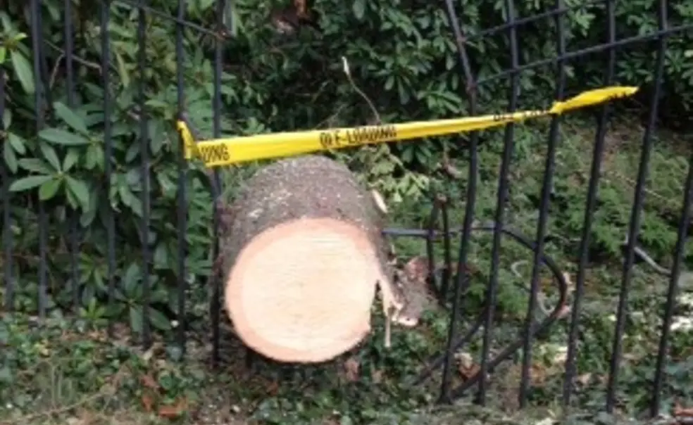 Hurricane Sandy update