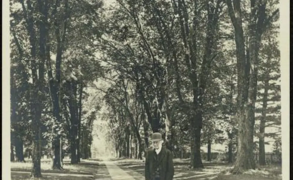 Rally 'Round the Cannon Rally 'Round the Cannon