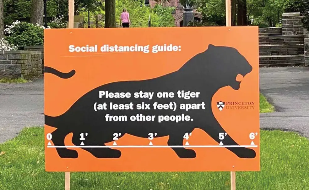 Hard Decisions About an Uncertain Fall Hard Decisions About an Uncertain Fall