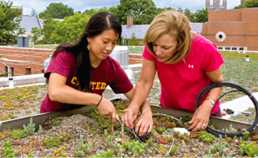 Building a Sustainable Future