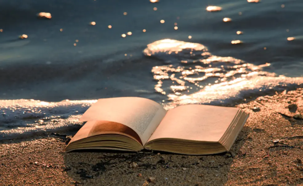 Summer Reading Summer Reading