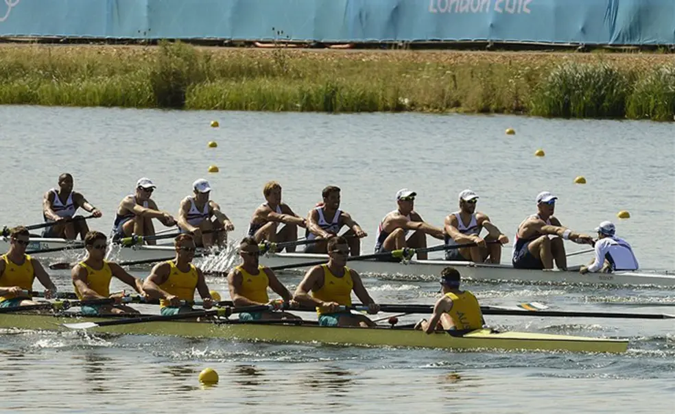 Slide show - Tigers in London