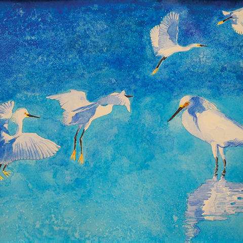 Uthara Srinivasan ’95’s painting of great egrets.