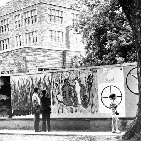Murals on the fencing surrounding a construction site outside Firestone Library