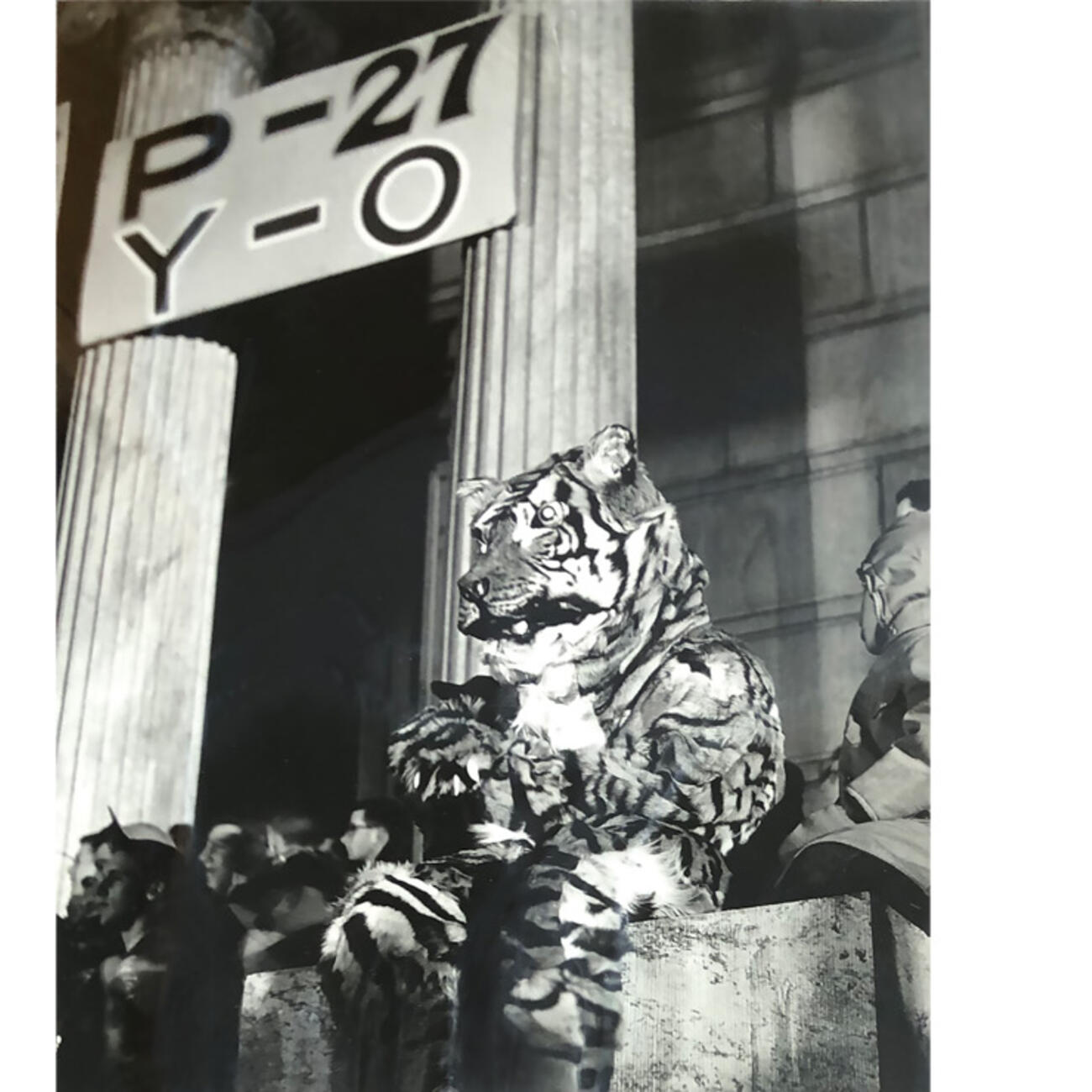 MASCOT_Bonfire.jpg The Tiger mascot oversees a bonfire in 1951 to celebrate the football team beating Harvard and Yale.
