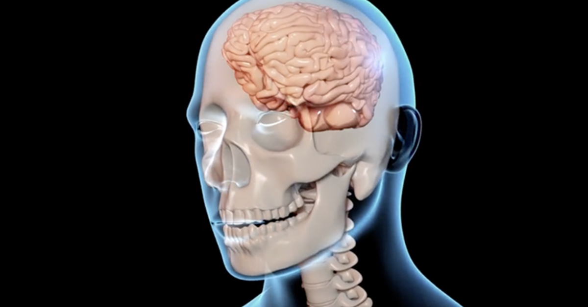 Research on Brain Injuries, Carbon Capture Among 2023 Award Winners