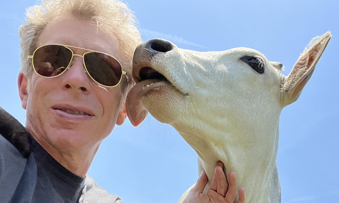 A cow licks Greg Berns’s face. 