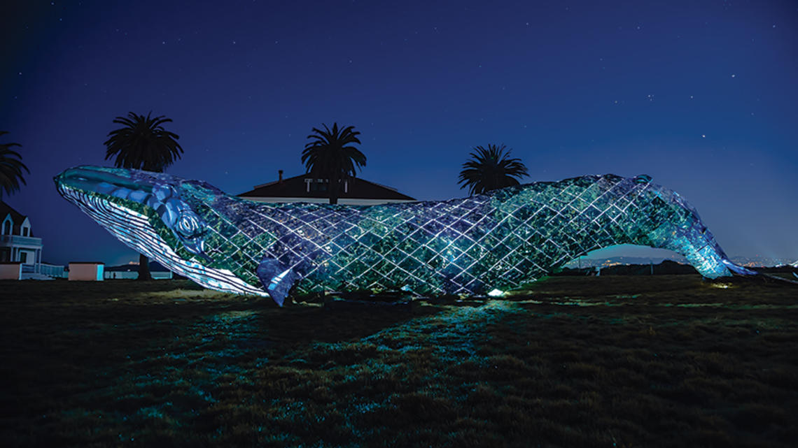 A huge plastic whale, photographed at night, obscures a small building and three palm trees sticking up from the background.