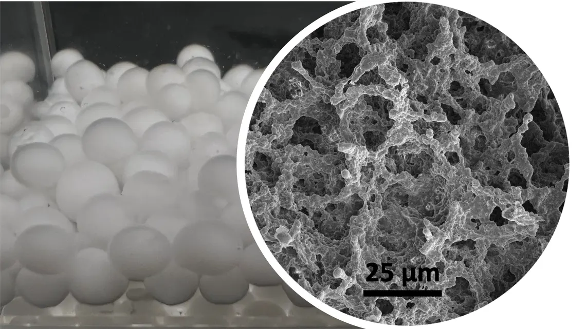 HydrogelBead-Xu.jpg