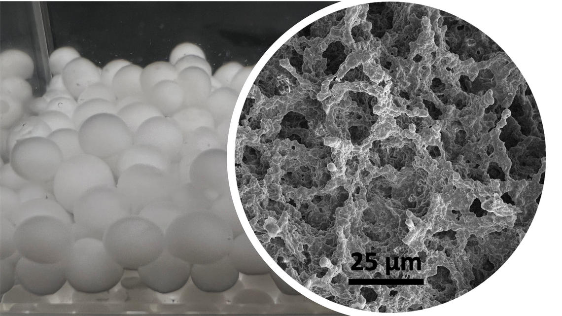 HydrogelBead-Xu.jpg