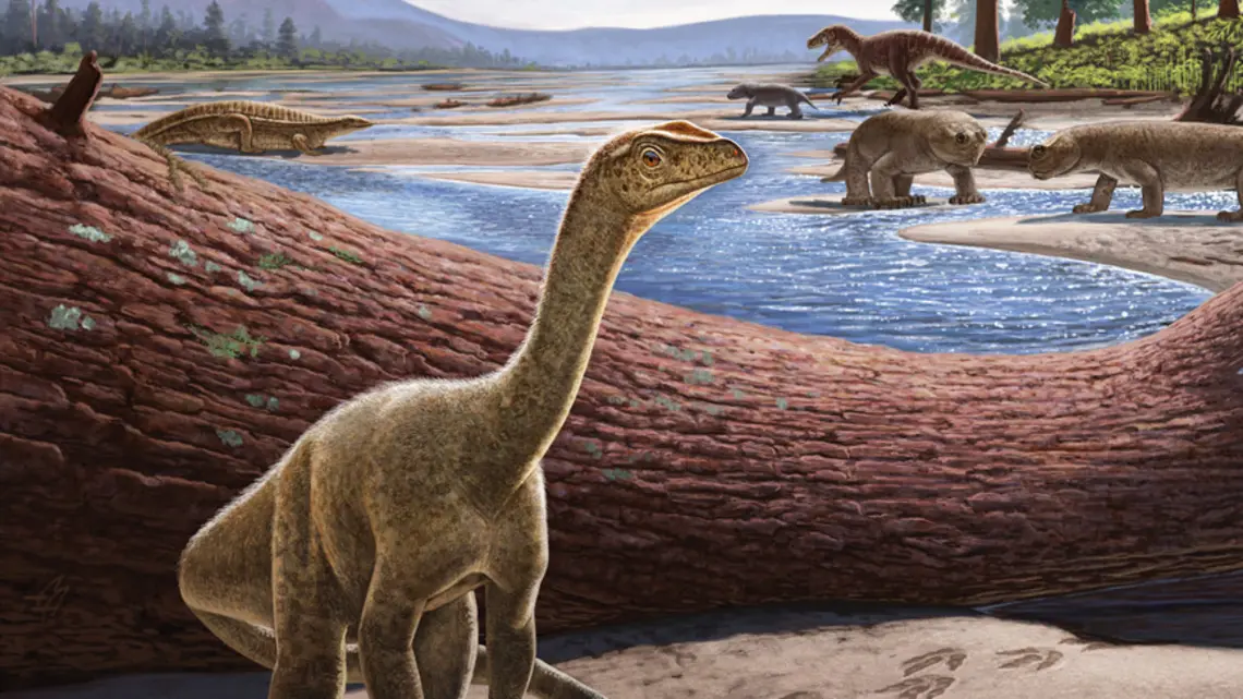 OTC_Class Closeup Mbiresaurus raathi.jpg illustration of Mbiresaurus raathi