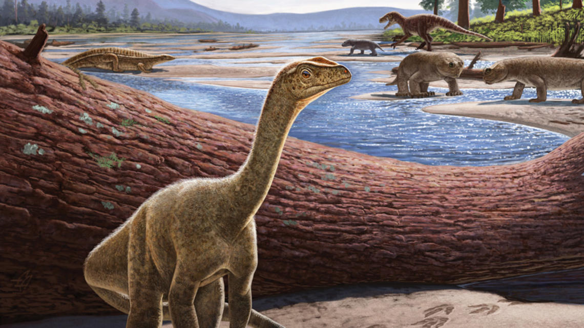 illustration of Mbiresaurus raathi