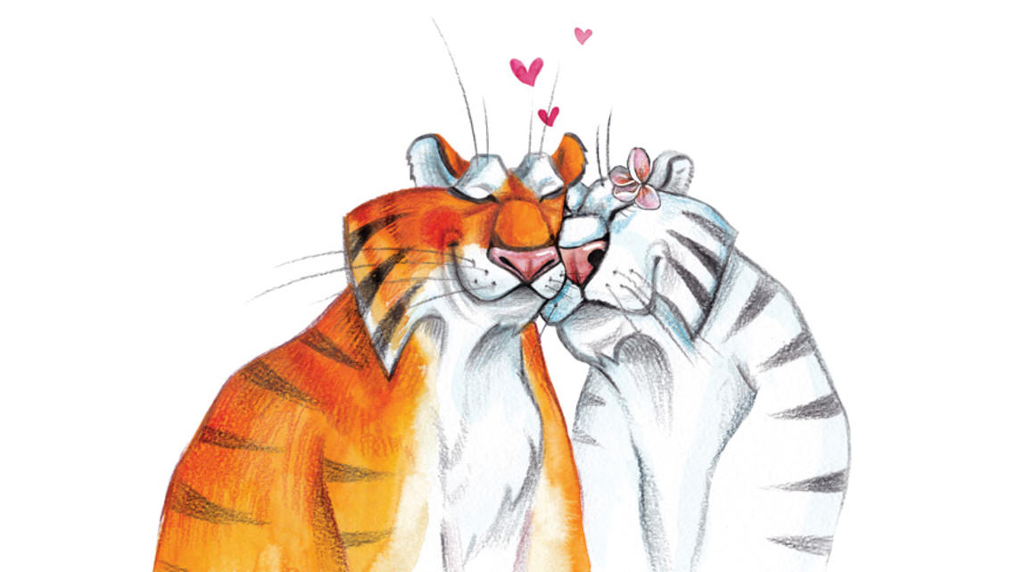 RG_Matchmaking Quiz.jpg Illustration of two tigers falling in love