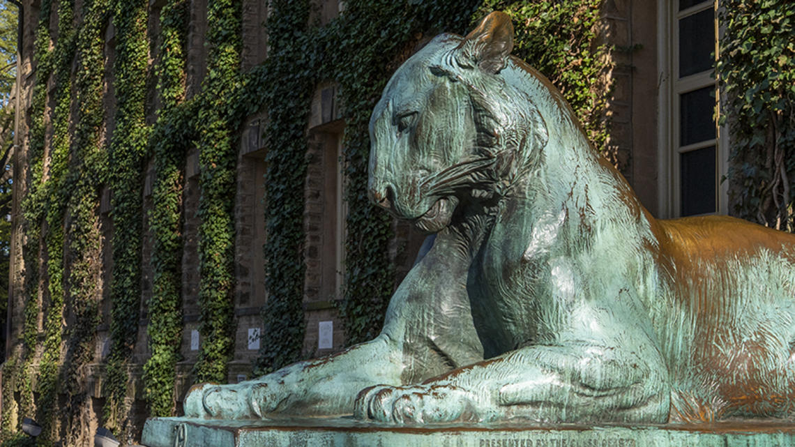 Annual giving tiger.jpg One of the bronze tiger statues that flank the front steps of Nassau Hall; ivy covers the walls in the background.