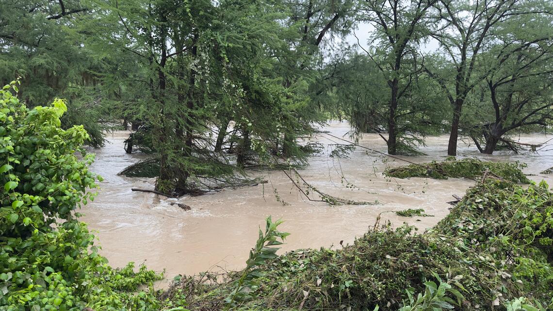 Trees surround the Guadalupe River overflowing with brown water. 
