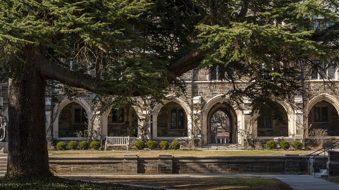 20250312_CL_Graduate_College_DJA_50.jpg A series of stone arches with a pine tree in front.