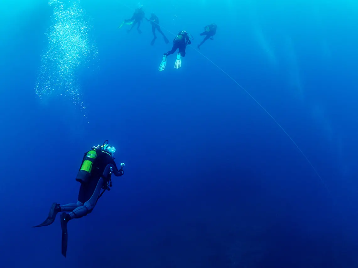 Group of scuba divers rising