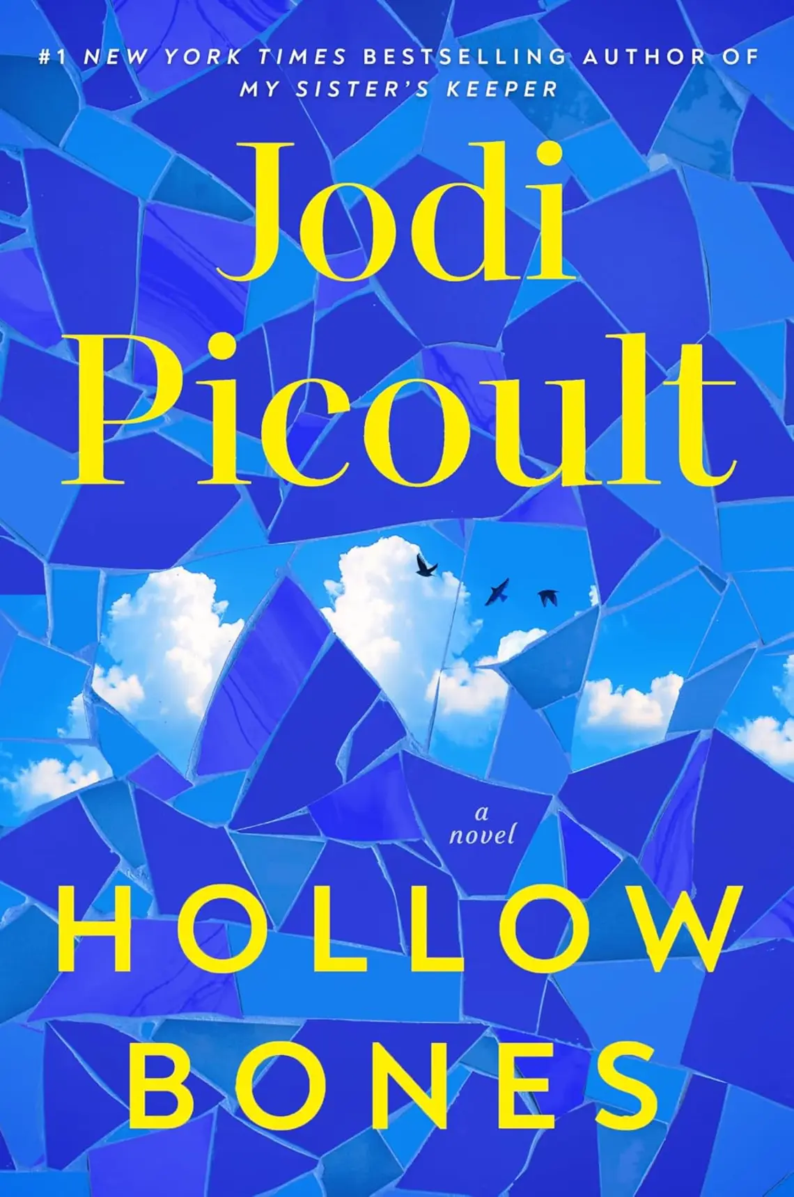 Hollow-Bones_Jodi-Picoult.jpg