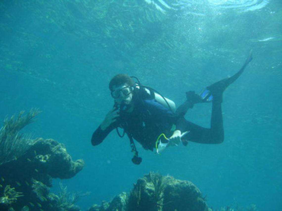 12092-bermuda1-thumb-400x300-12091.jpg